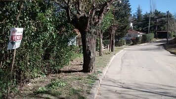 Terreno Arboles Frutales Cordoba ✓ 43970 propiedades - Buenacuerdo.com.ar